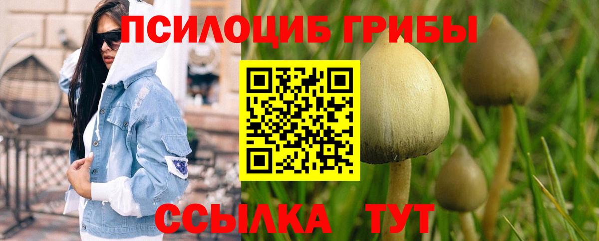Псилоцибиновые грибы GOLDEN TEACHER Лысьва